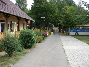 Vidám Delfin Kemping és Panzió